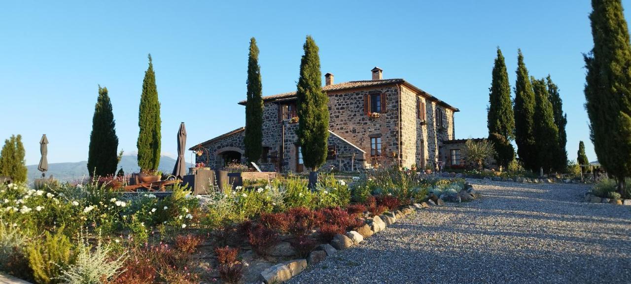 Casa Al Maestro B&B Radicofani Extérieur photo
