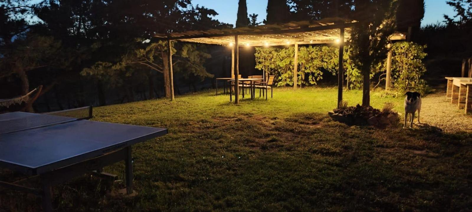 Casa Al Maestro B&B Radicofani Extérieur photo