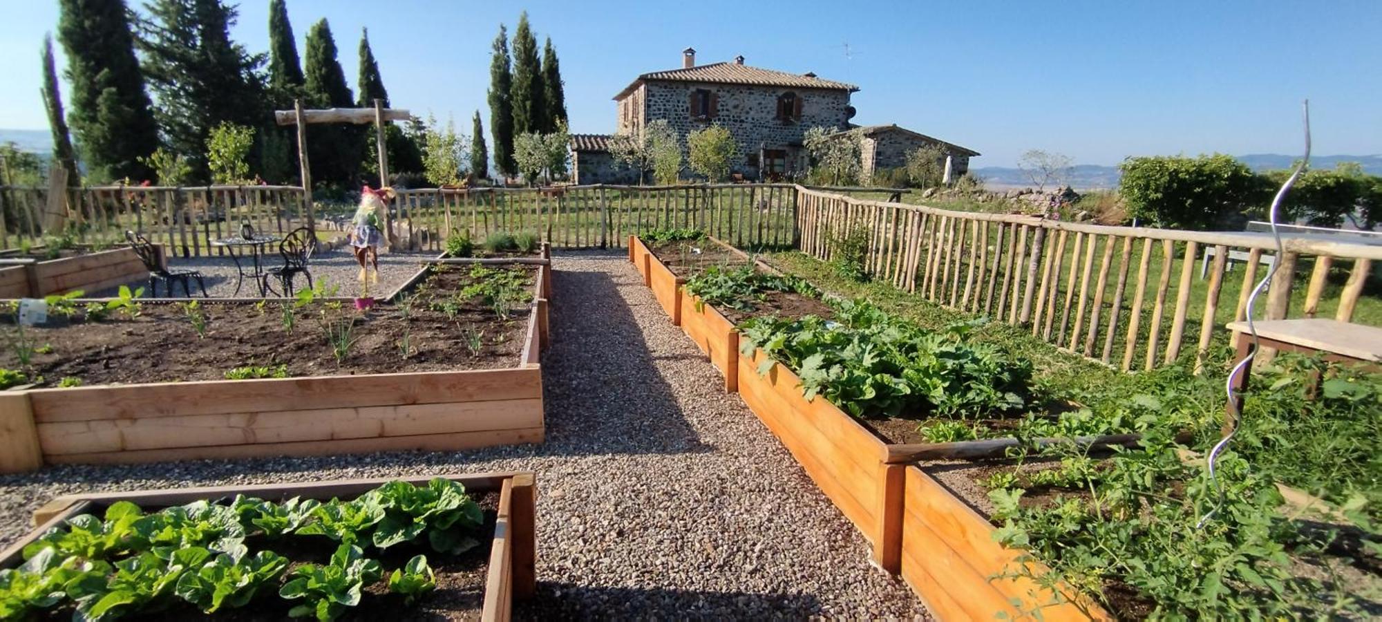 Casa Al Maestro B&B Radicofani Extérieur photo